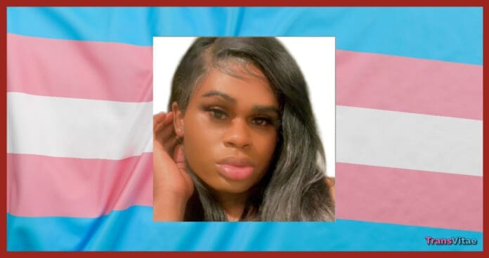 transgender dream johnson