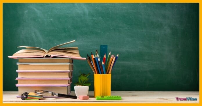 transgender education
