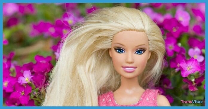 transgender barbie