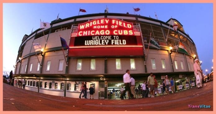 transgender chicago cubs