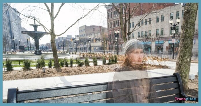 transgender invisible