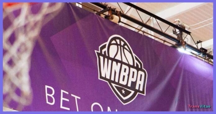 transgender wnbpa