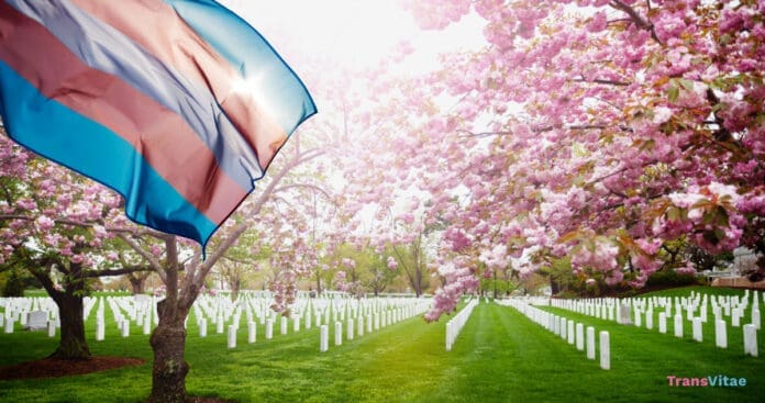 Trans VA Care