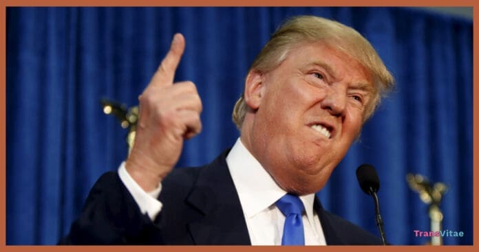 trans rights trump
