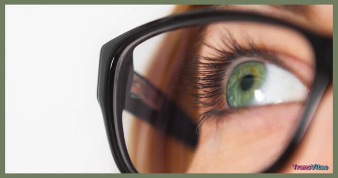 transgender makeup glasses