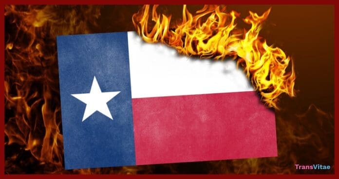 transgender texas flag