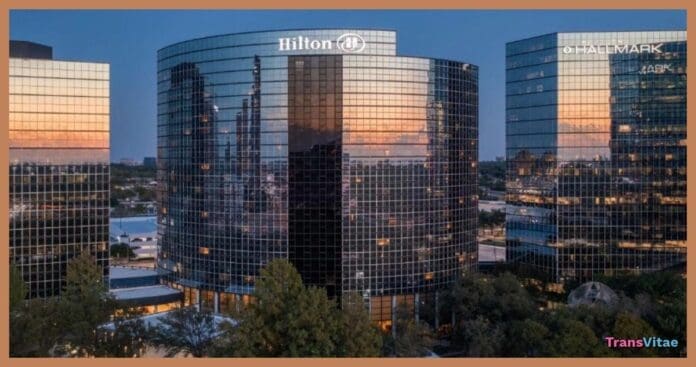 transgender dallas hilton