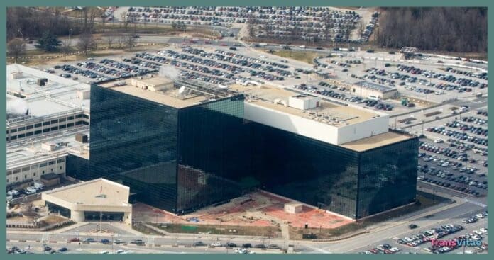 transgender nsa