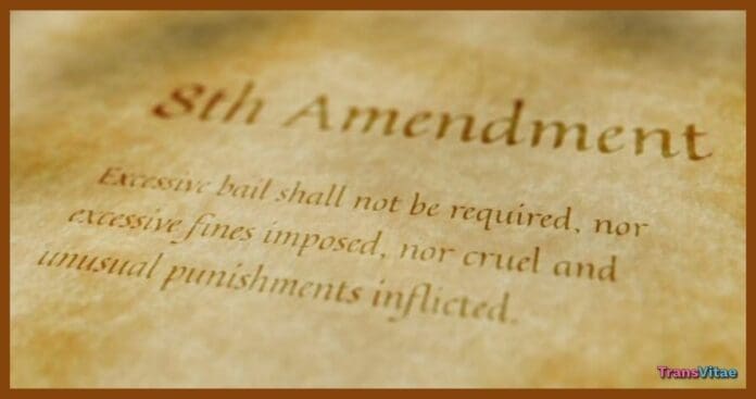 transgender 8th amendment