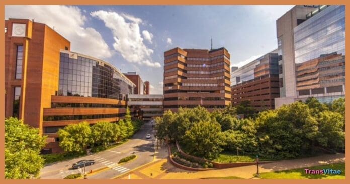 transgender Vanderbilt University Medical Center