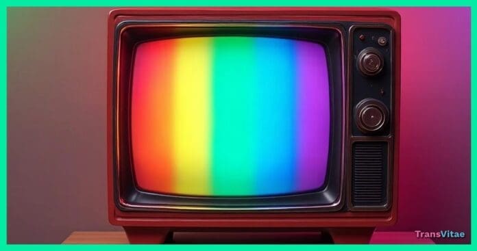 transgender tv visibility
