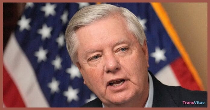 transgender Lindsey Graham